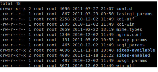 Nginx folder structure